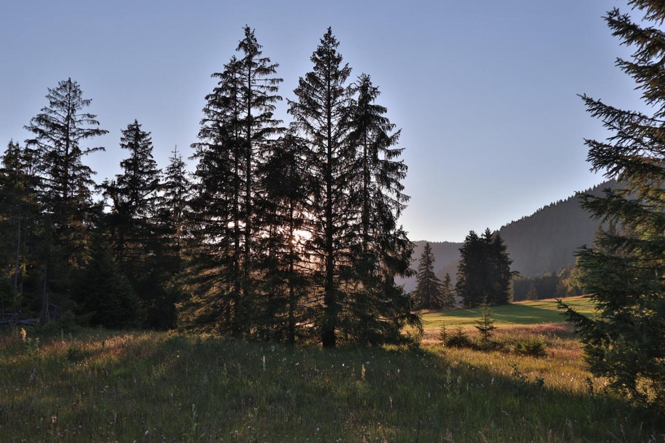 Ruhehotel & Naturresort Rehbach - Adults Only Schattwald Esterno foto