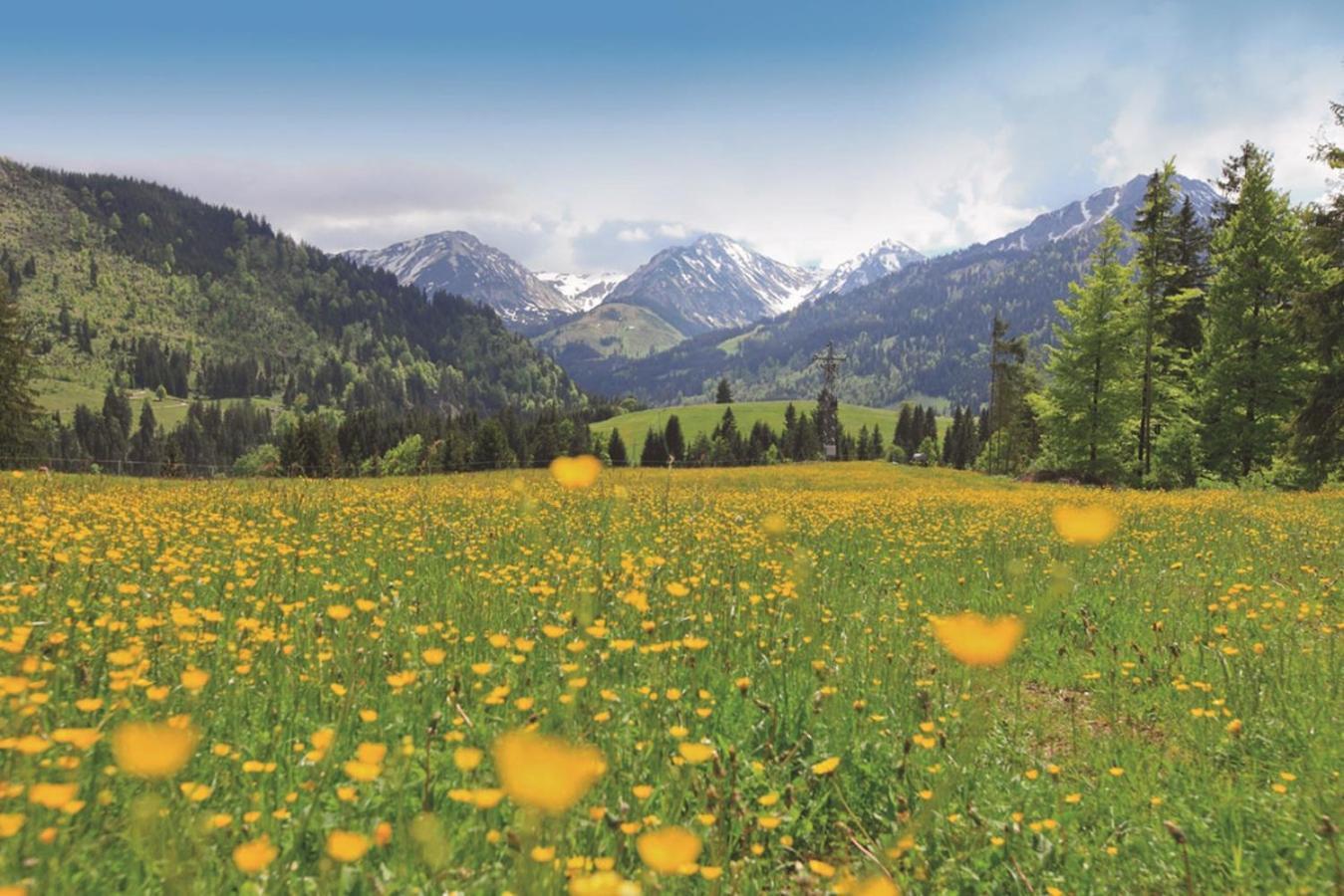 Ruhehotel & Naturresort Rehbach - Adults Only Schattwald Esterno foto